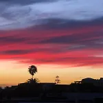 Pura Vida *